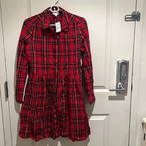 COPY - J Crew Tartan Print Dress